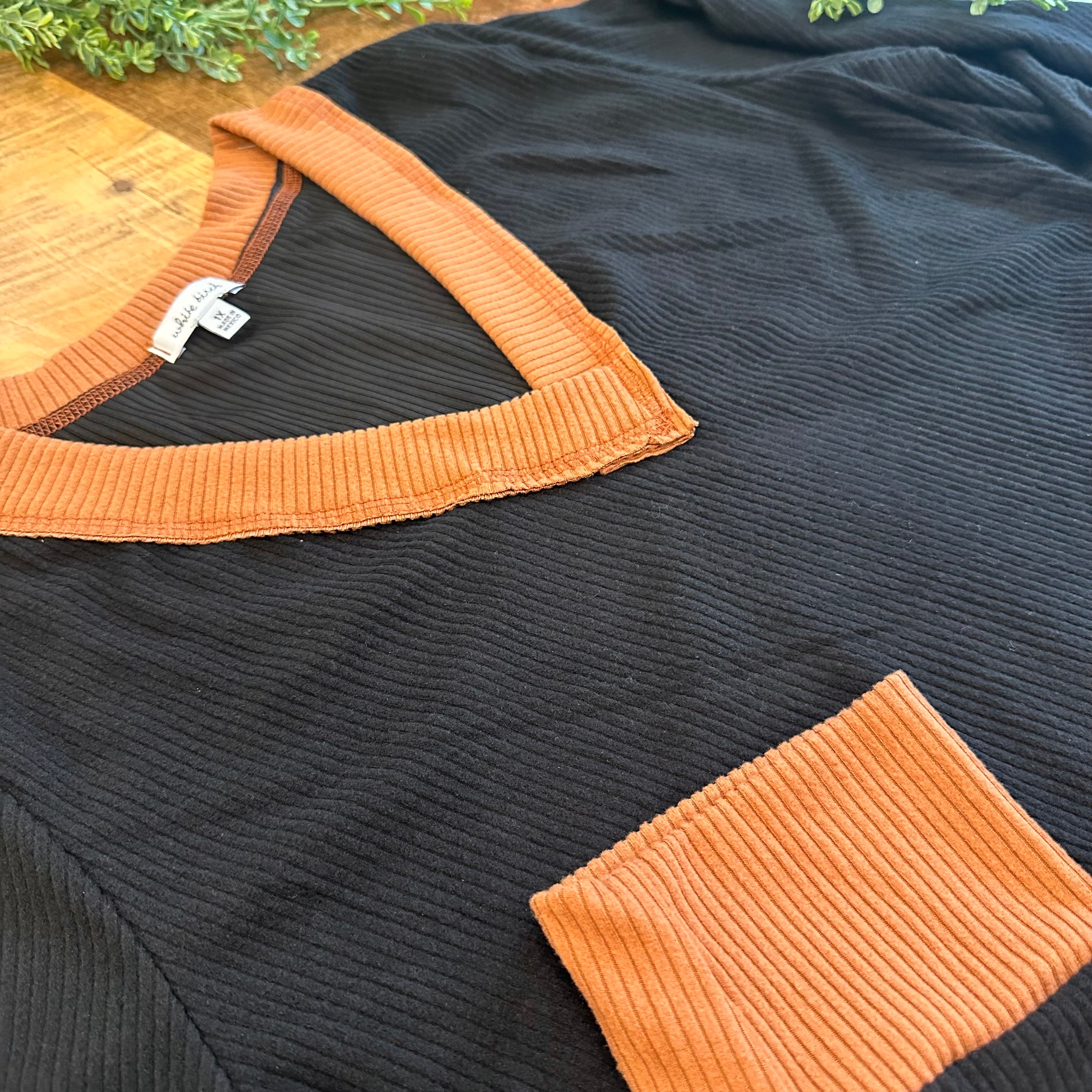 Long Sleeve V Neck Plus Size Shirt