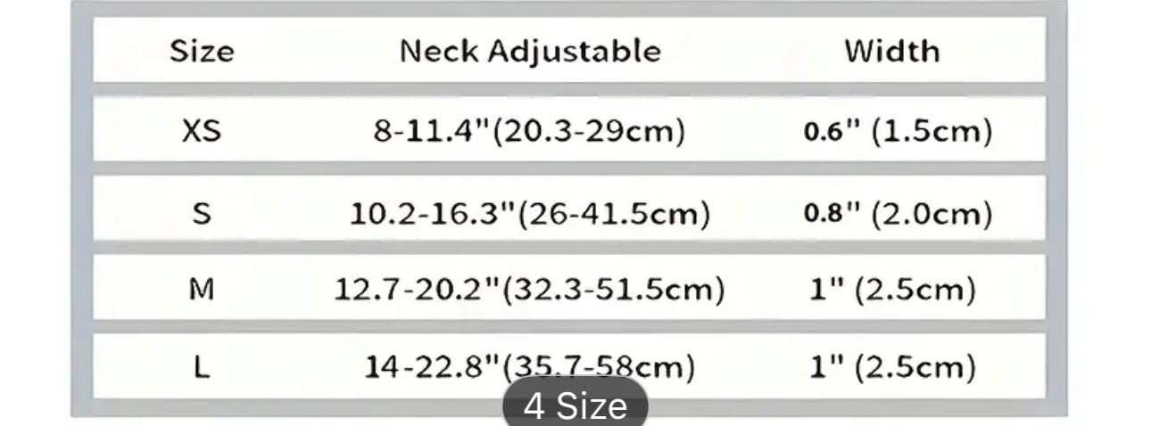 Pumpkin Spice Dog Collar